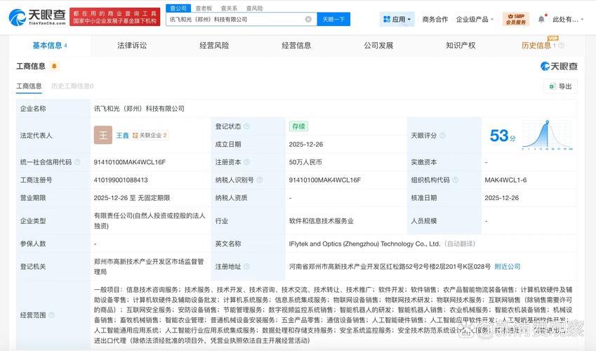 人为王鑫,注册资本50万人民币,经营范围含信息技术咨询服务,软件开发